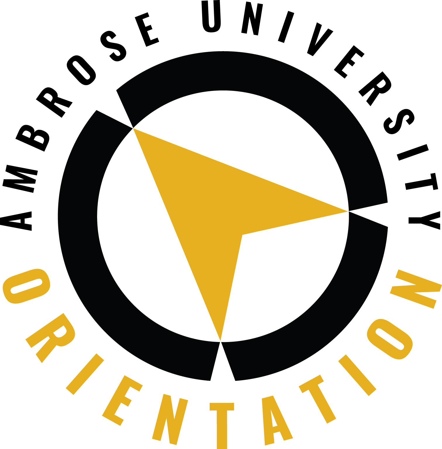 amborse orientation
