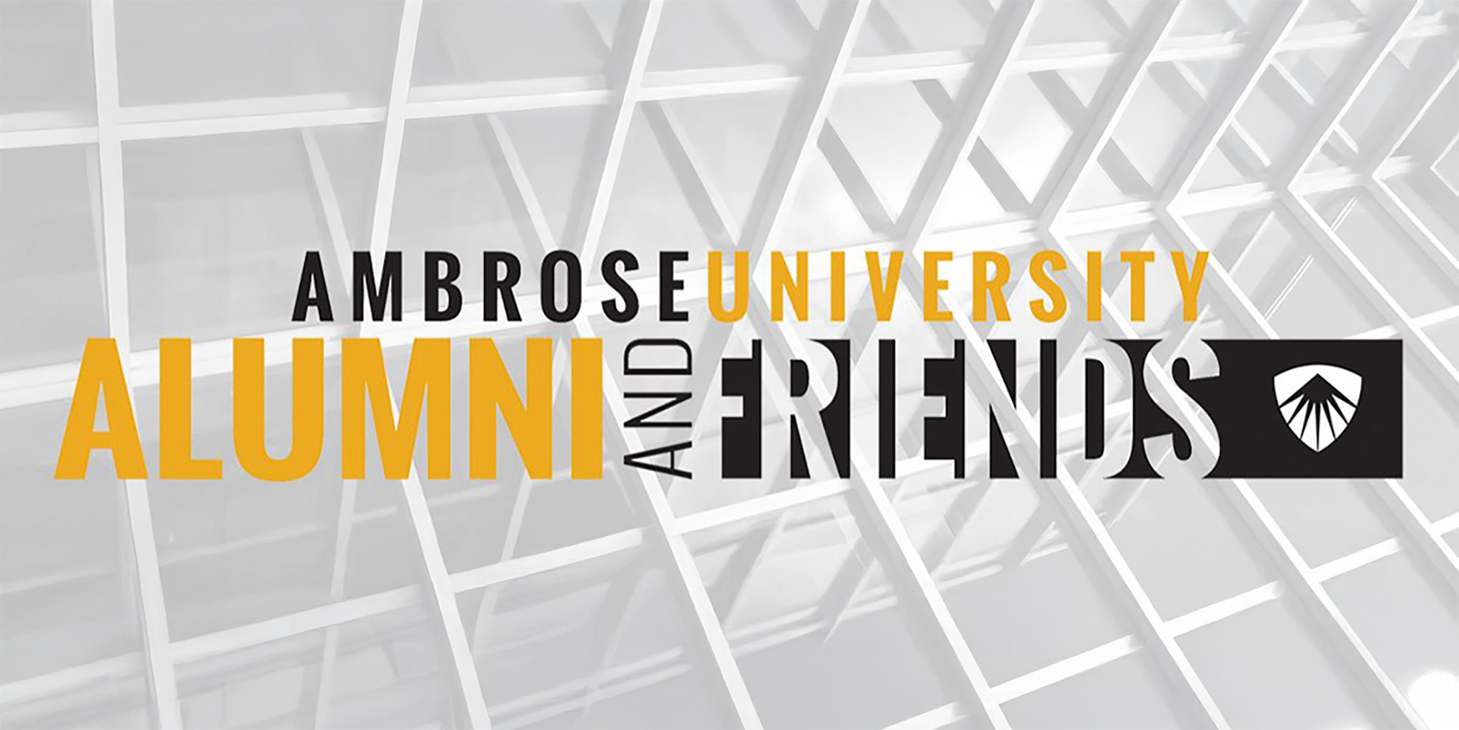 ALumni and Friends White Logo 
