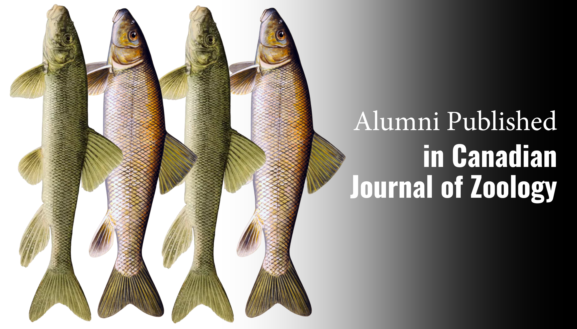Alumni Published in Canadian Journal of Zoology