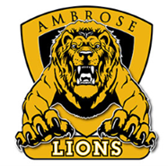 Lions