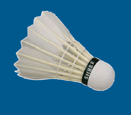 Badminton