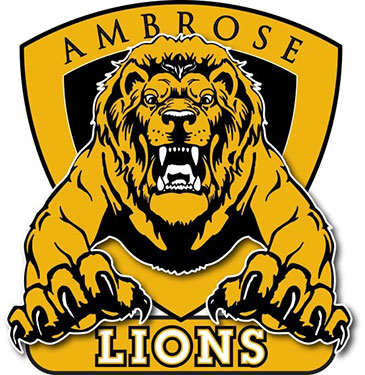 lions' logo