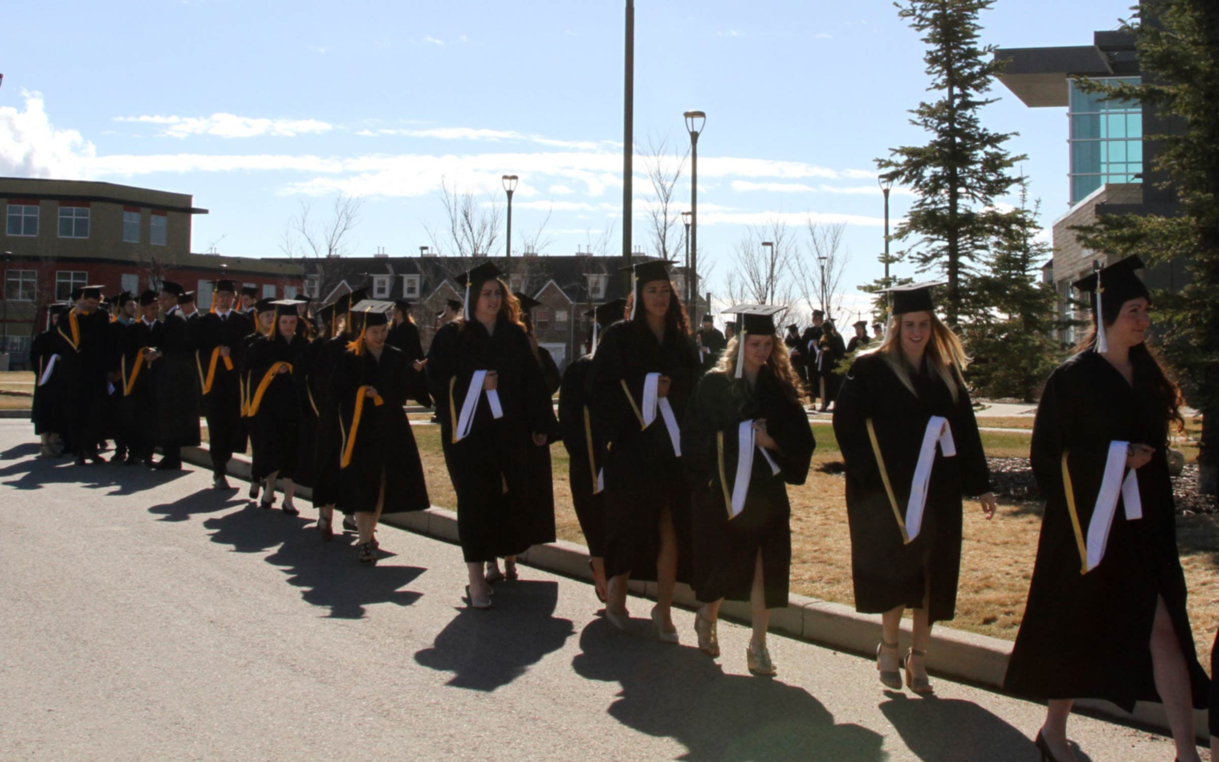 Graduation Information Ambrose University