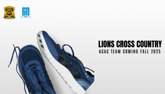 Running shoes Lion's Cross Country Banner